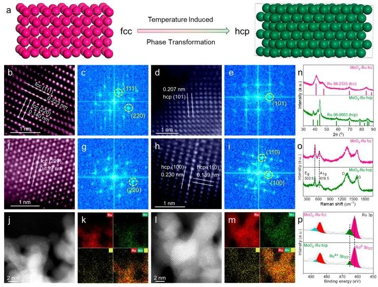 最新顶刊集锦：Nature子刊、JACS、AFM、ACS Nano、ACS Catal.、Small等