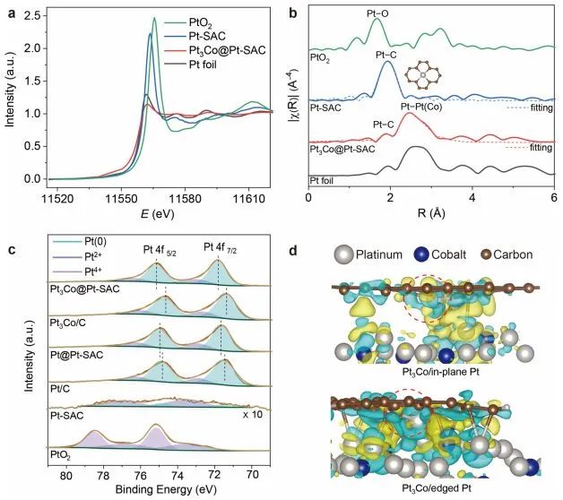 最新顶刊集锦：Nature子刊、JACS、AFM、ACS Nano、ACS Catal.、Small等