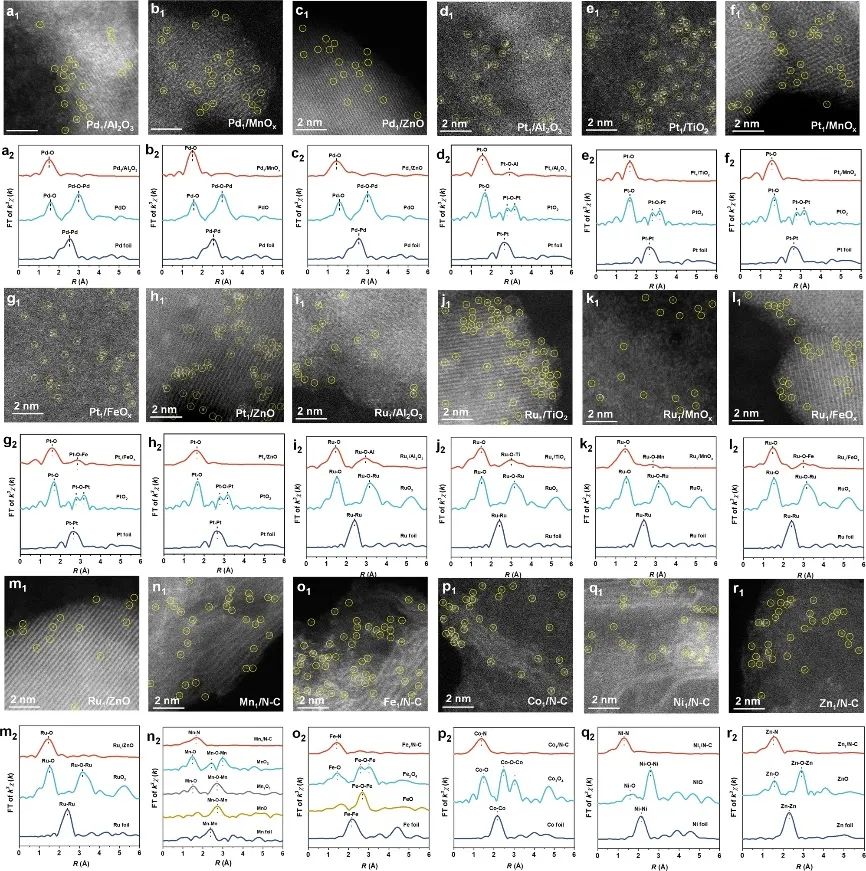 纪红兵/马丁，最新Nature子刊！