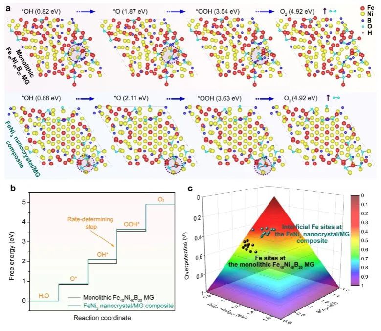 八篇催化顶刊：Nature子刊、EES、AM、AFM、Nano Letters、ACS Nano等成果集锦！