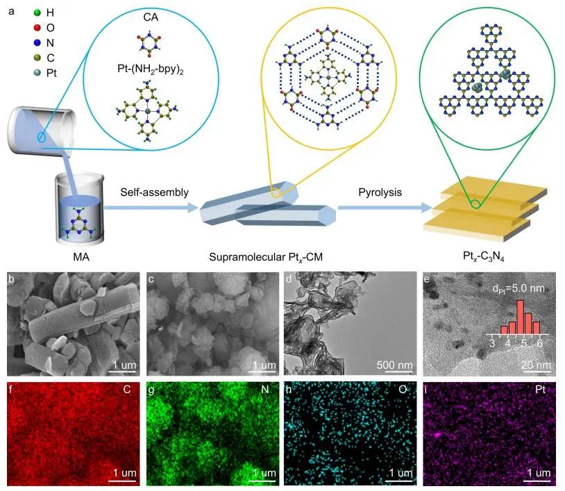 ACS Catalysis：光催化木质纤维素重整为H2和增值生化产品