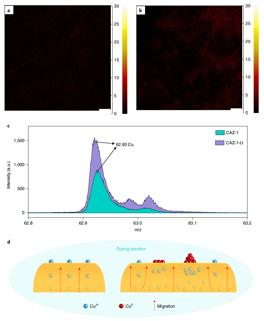 今日重磅！谭理&刘智攀Nature Catalysis：单原子催化！