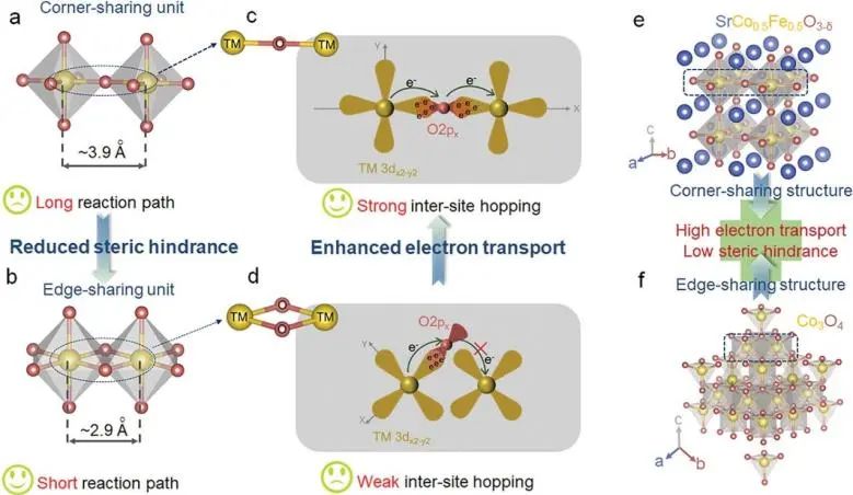 最新顶刊集锦：Nature子刊、JACS、AFM、ACS Nano、ACS Catal.、Small等