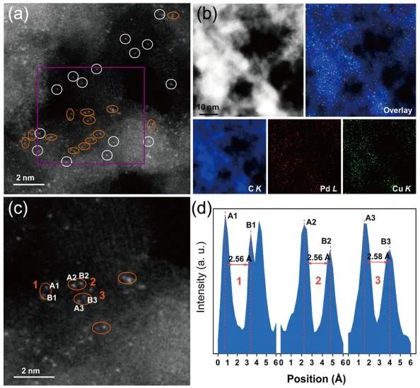 马丁&刘洪阳，最新JACS！