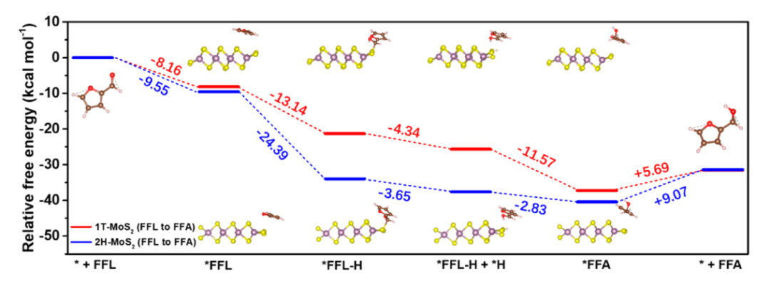 ACS Catalysis：MoS2相变控制电催化糠醛加氢或者二聚选择性