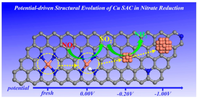 针对这个问题，连发三篇顶刊：两篇JACS、一篇Angew.！