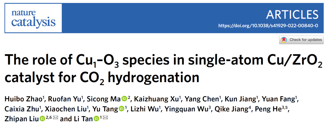 今日重磅！谭理&刘智攀Nature Catalysis：单原子催化！