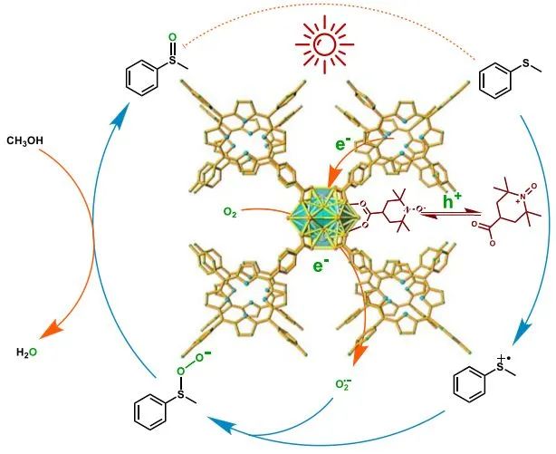 ​武大ACS Catal.: 将TEMPO集成到Zr-MOF中，协同光催化硫化物选择性氧化