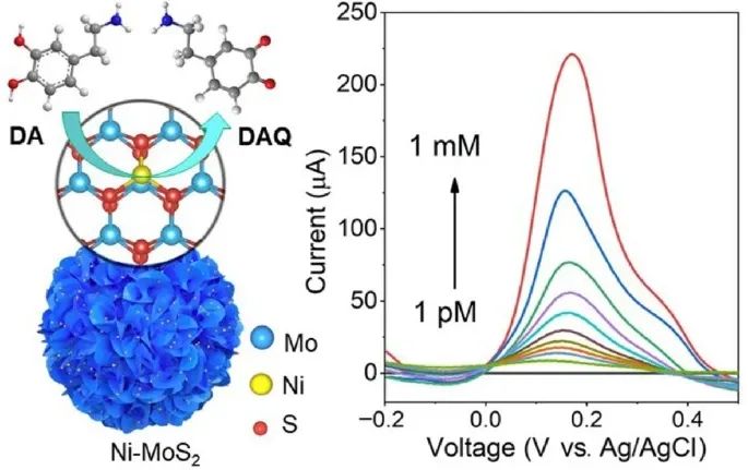 ​中科大/深大Nano Research：表面改性Ni-MoS2纳米片用于超灵敏多巴胺检测