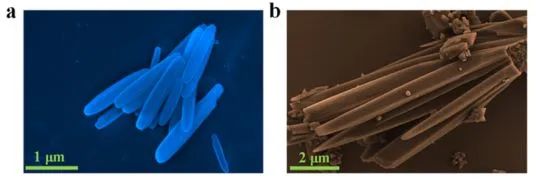 最新顶刊集锦：Nature子刊、JACS、AFM、ACS Nano、ACS Catal.、Small等