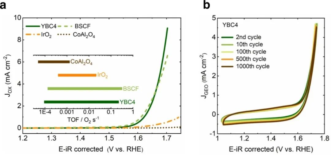 孟颖/徐梽川，最新Nature子刊！