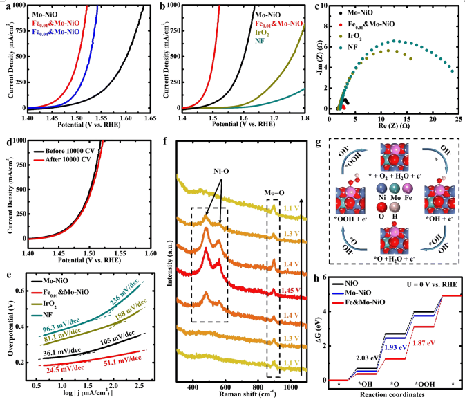 八篇最新顶刊集锦：ACS Catalysis、EES、AM、Angew等成果！