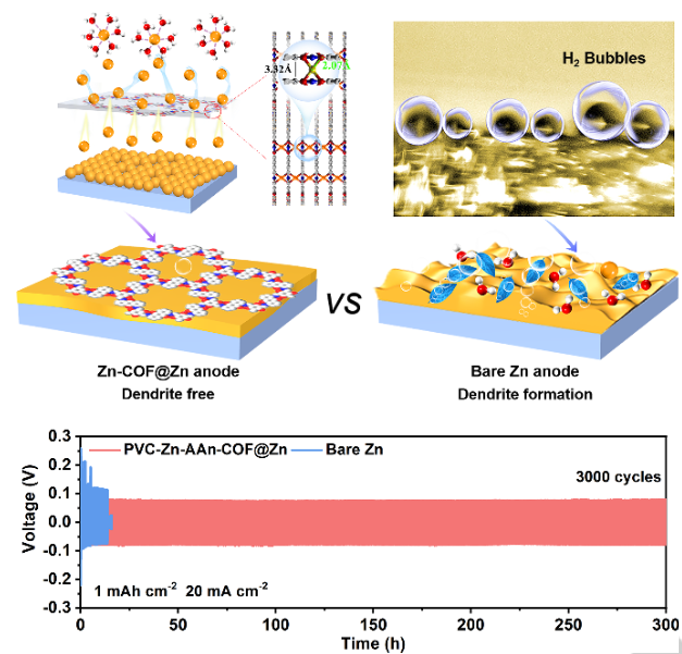 兰亚乾Angew：金属共价有机骨架中析氢和锌离子通量的协同调控无枝晶锌基水系电池
