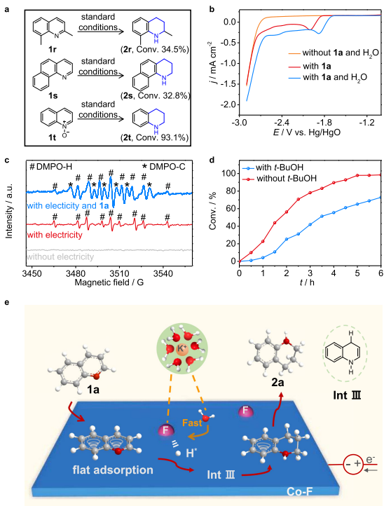 天大张兵/刘翠波团队，最新Nature子刊！