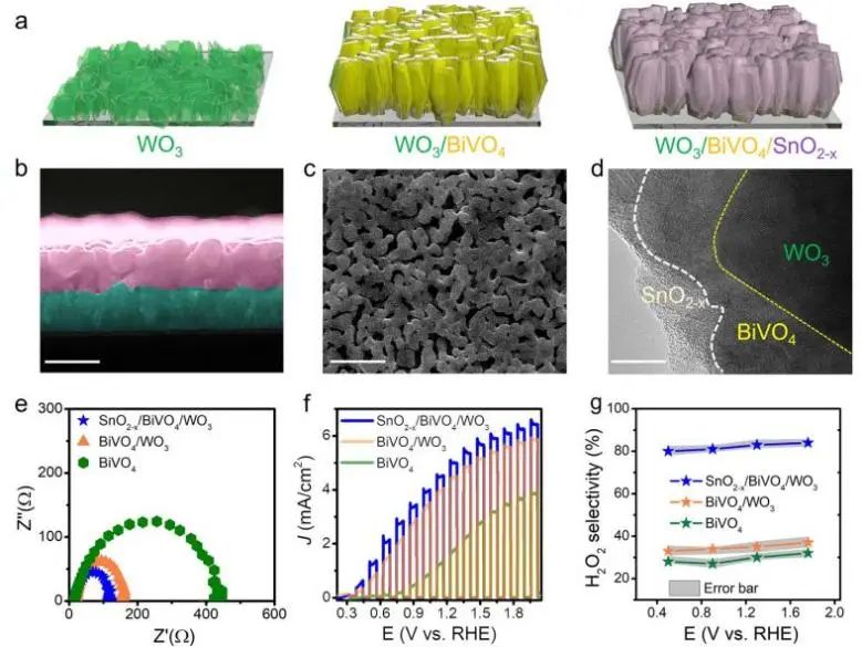 最新顶刊集锦：Nature子刊、JACS、AFM、ACS Nano、ACS Catal.、Small等