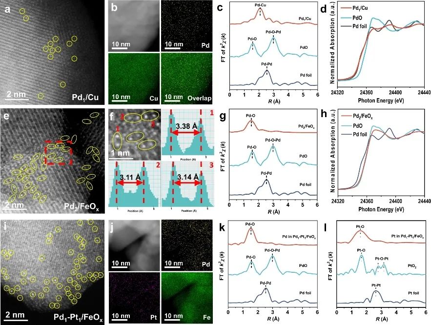 纪红兵/马丁，最新Nature子刊！