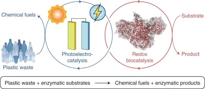 Nature Synthesis：微塑料为燃料的光电催化生物合成