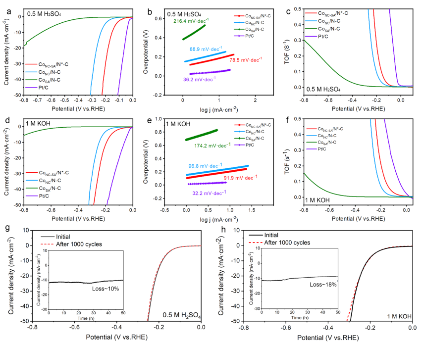 ACS Catalysis：单原子Co-N3位点/Co纳米颗粒的界面H2O活化加速电催化析氢