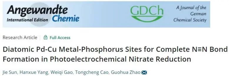 同济赵国华Angew.: 首次报道！Pd-Cu金属-磷位点在光电化学NO3-还原中完全形成N≡N键