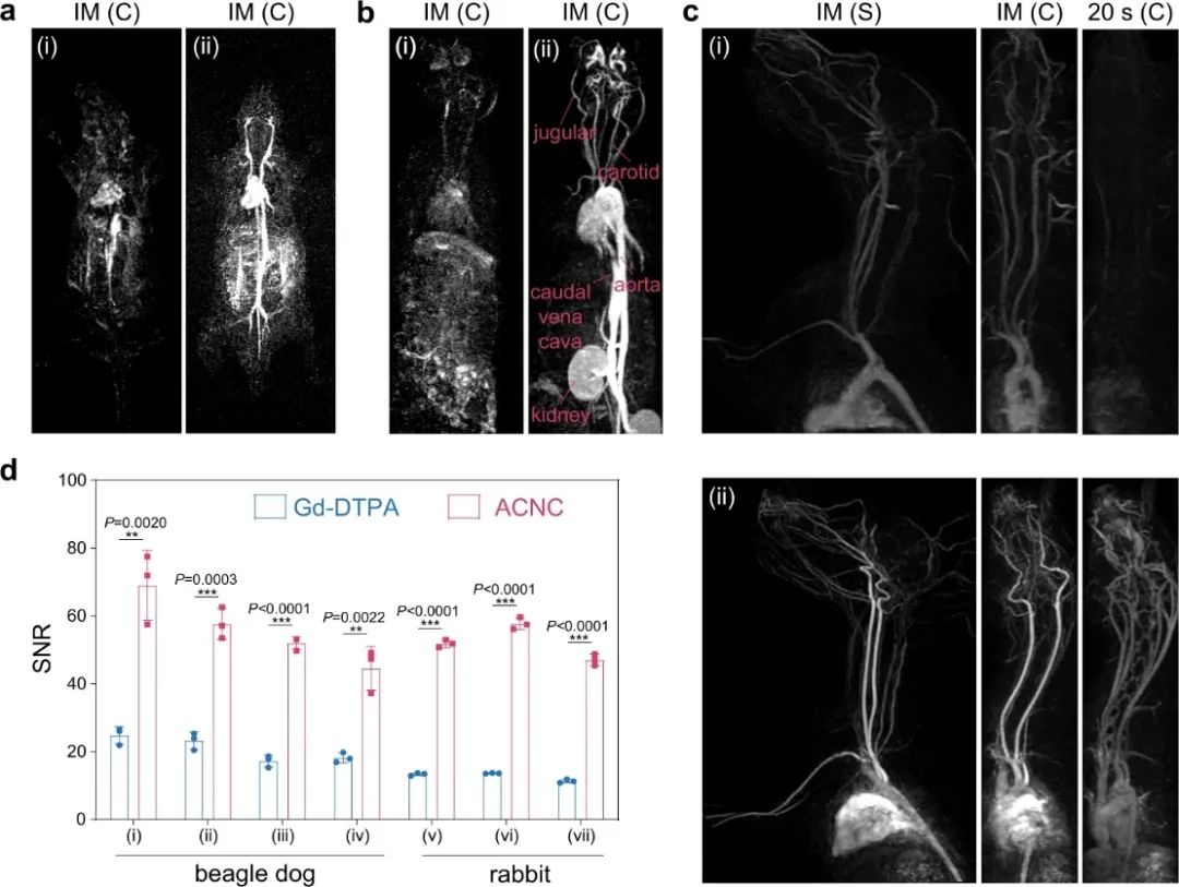 院士团队两天三篇顶刊：连发AM、Angew.和Nature子刊！