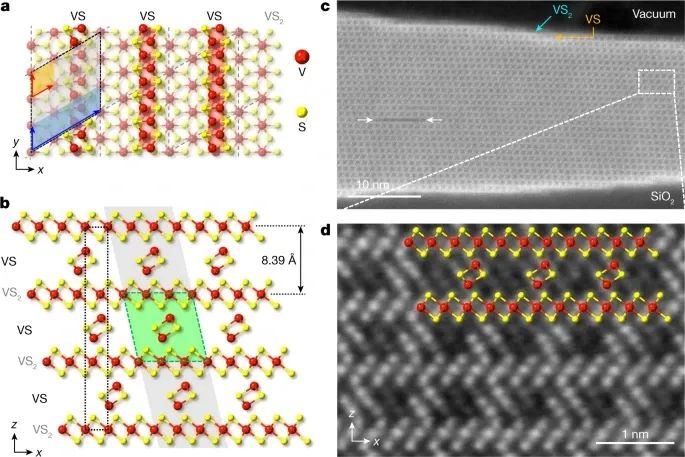 北京理工大学周家东团队，最新Nature！