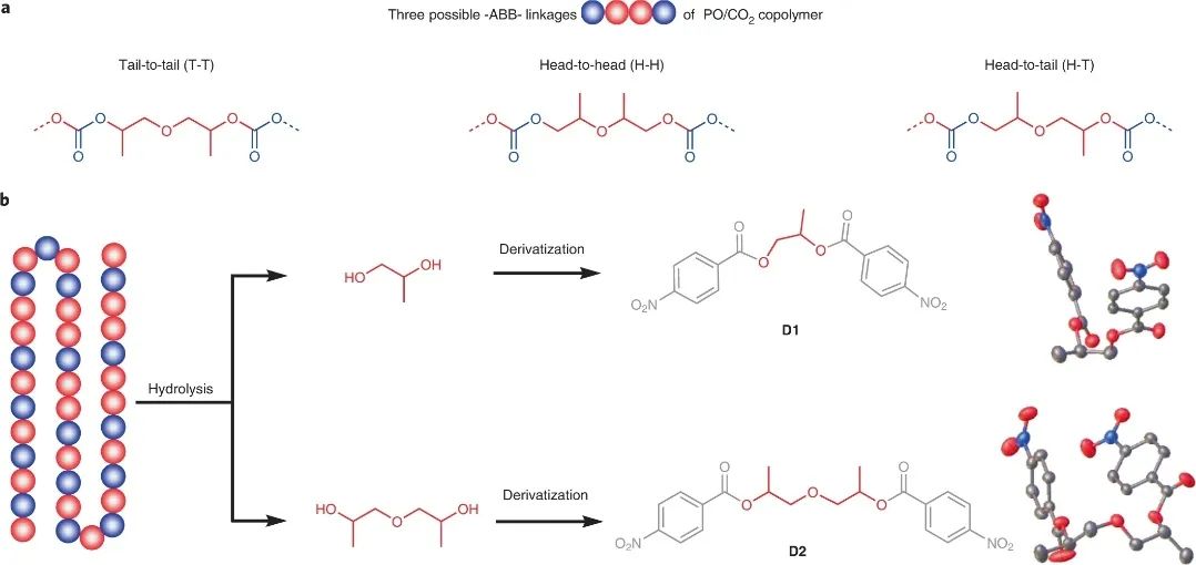 浙大伍广朋团队Nature Synthesis：CO2和环氧丙烷精准共聚！