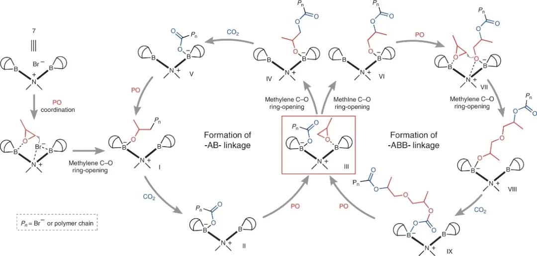 浙大伍广朋团队Nature Synthesis：CO2和环氧丙烷精准共聚！