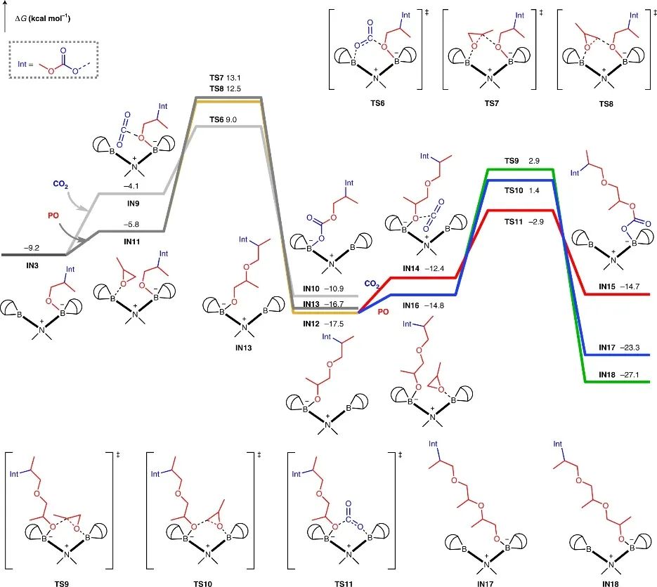 浙大伍广朋团队Nature Synthesis：CO2和环氧丙烷精准共聚！