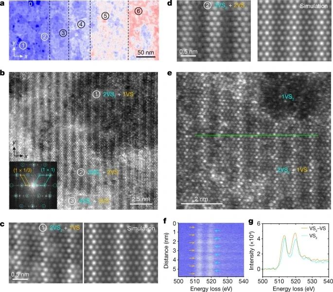 北京理工大学周家东团队，最新Nature！