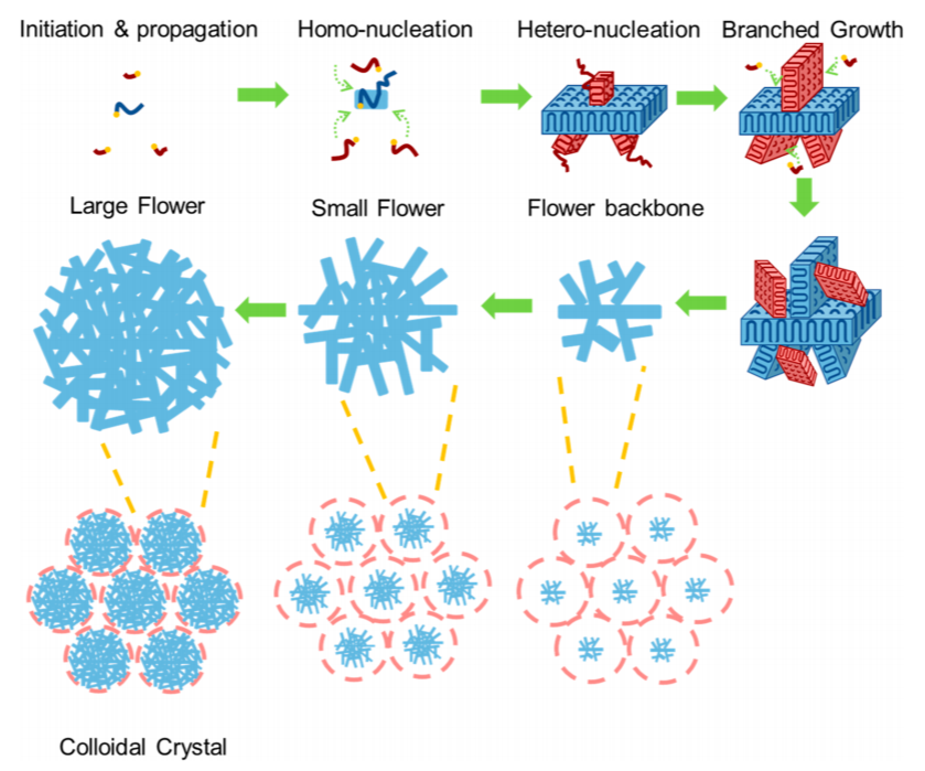 鲍哲南教授，最新JACS！