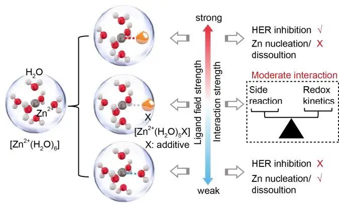 ​中科大王功名Angew：通过配体场效应调节实现快速和可逆水系锌电池！