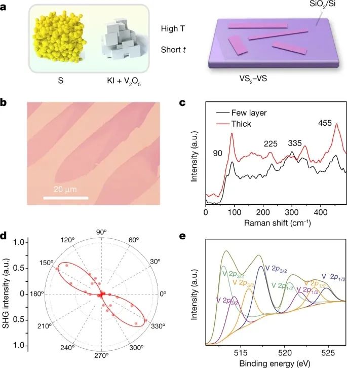 北京理工大学周家东团队，最新Nature！