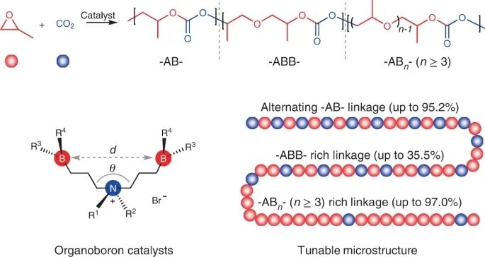 浙大伍广朋团队Nature Synthesis：CO2和环氧丙烷精准共聚！