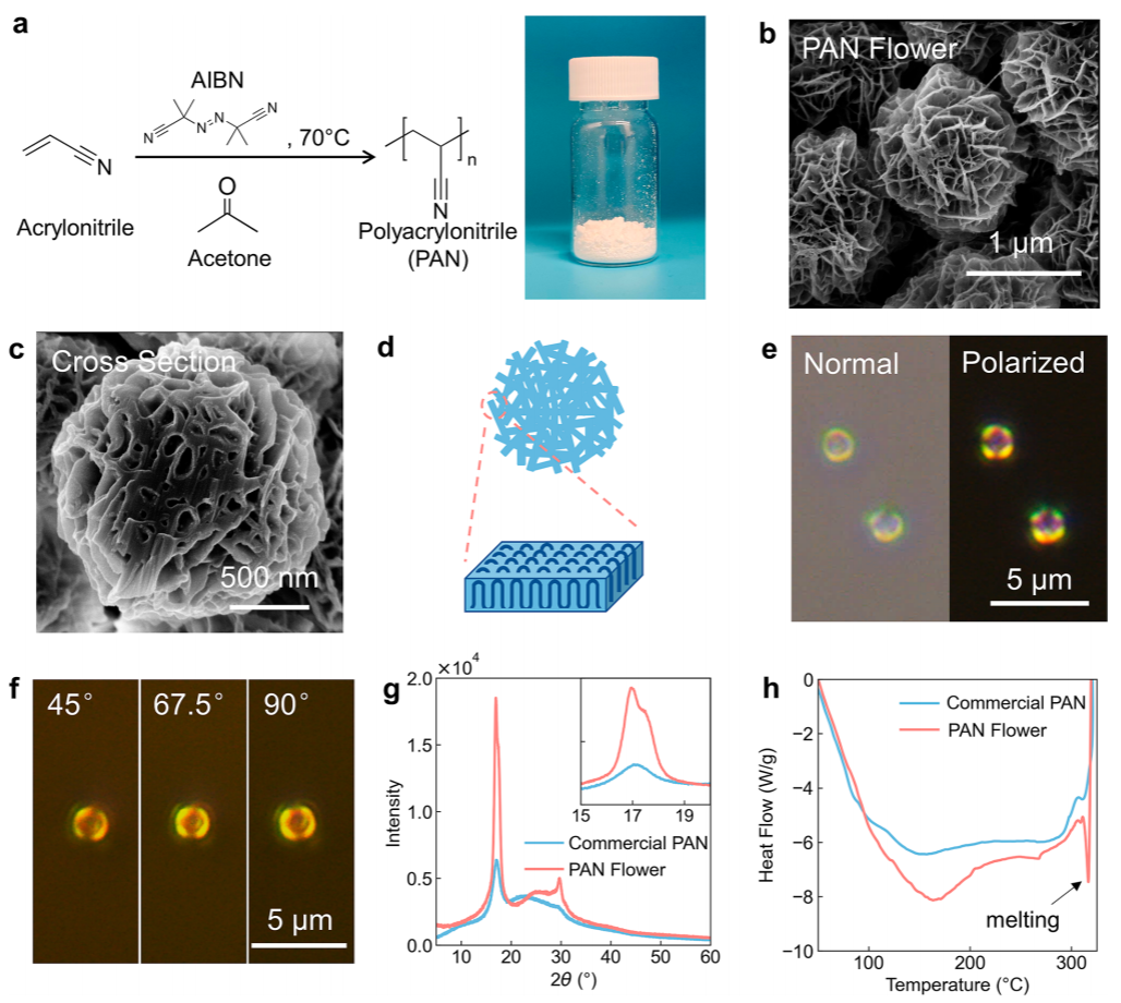 鲍哲南教授，最新JACS！