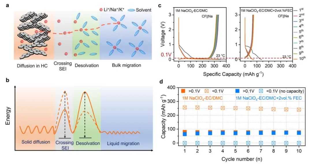 四单位联合​JACS：固体电解质界面的选择性离子传输