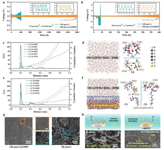 中南陈立宝/陈月皎，最新Nature子刊！