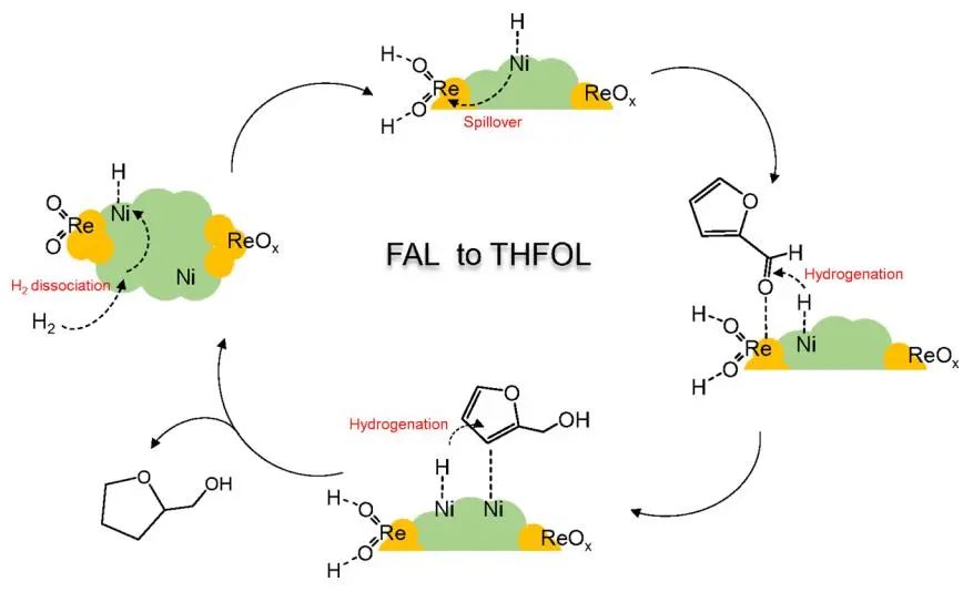 聂仁峰/张跃兴ACS Catalysis：Ni-ReOx表面协同促进糠醛温和加氢制四氢糠醇