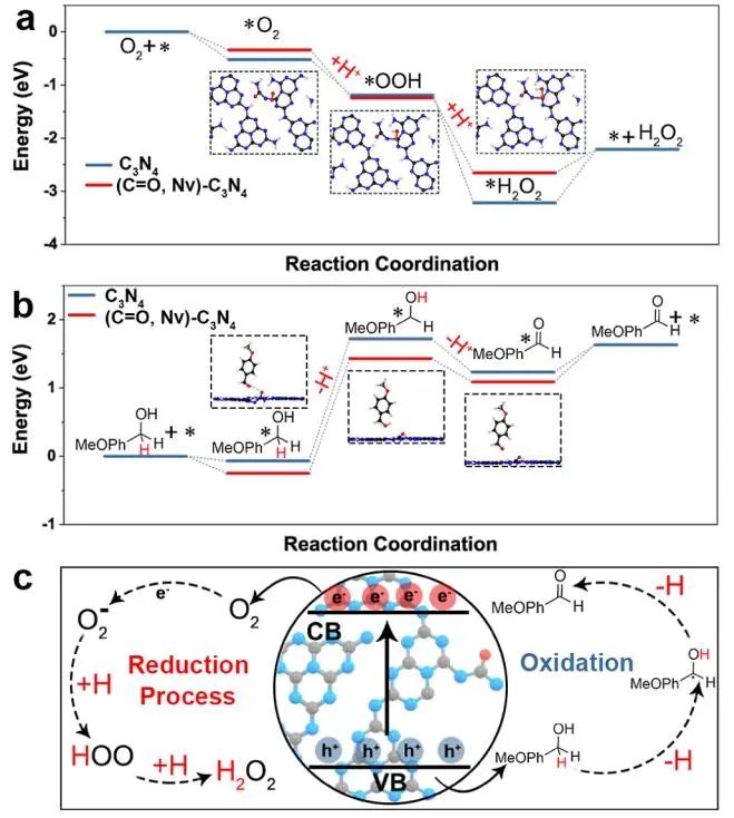 黑龙江大学JACS：ASCN-3助力选择性醇氧化光催化生产H2O2