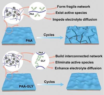 杨剑/柏中朝AEM: 分子交联增强聚合物粘结剂用于钠离子电池的合金负极