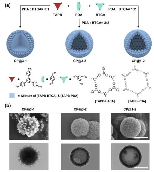 ​浙大JACS：通过动态组合精确调控COF中多级孔结构，探究其催化应用