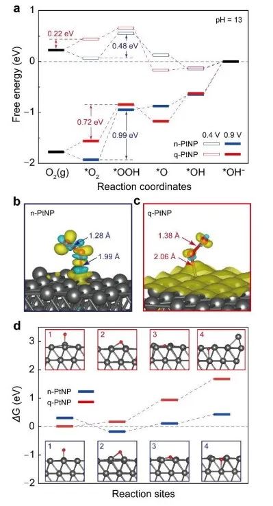 催化顶刊合集：Nature子刊、EES、AM、CEJ、ACB、ACS Catalysis等成果！