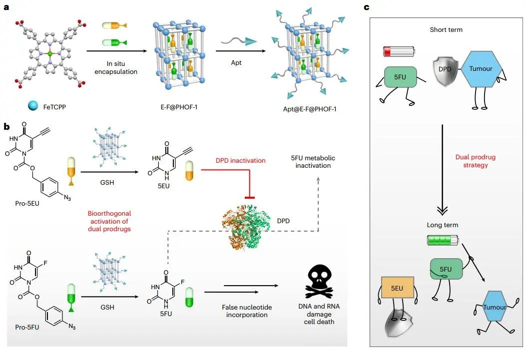 曲晓刚研究员，最新Nature Catalysis！