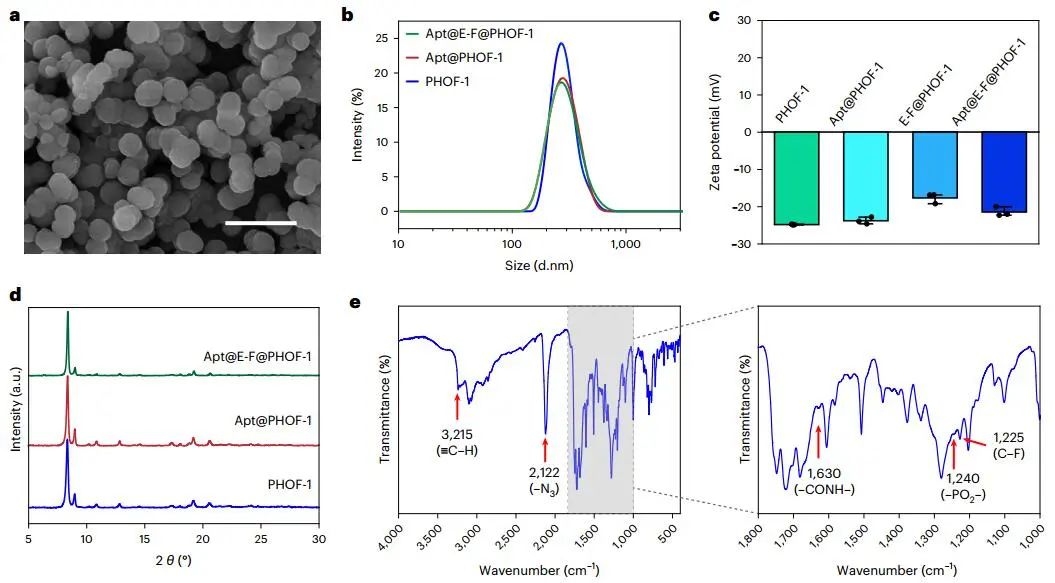 曲晓刚研究员，最新Nature Catalysis！