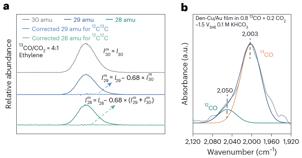 北京大学徐冰君团队，最新Nature Catalysis！