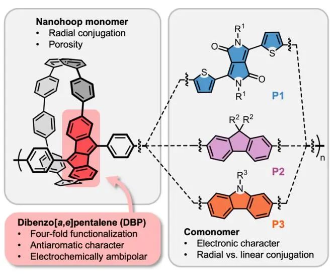 ​Angew.：基于抗芳香族二苯并五烯的共轭纳米环聚合物用于有机电池中的电荷存储