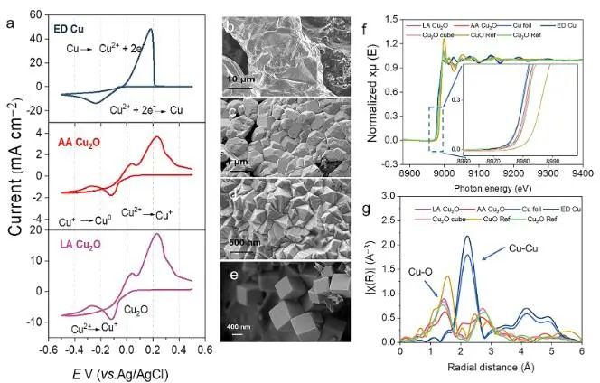 ACS Catalysis：添加剂辅助GDE上电沉积铜，实现选择性CO2还原制备多碳产物