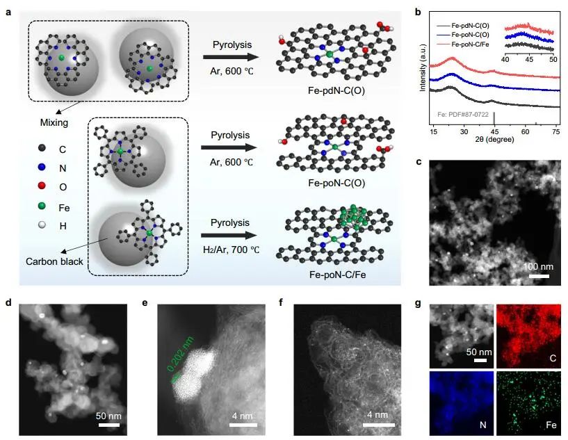 南开大学李伟教授Nature子刊：Fe-poN-C/Fe助力电化学CO2还原