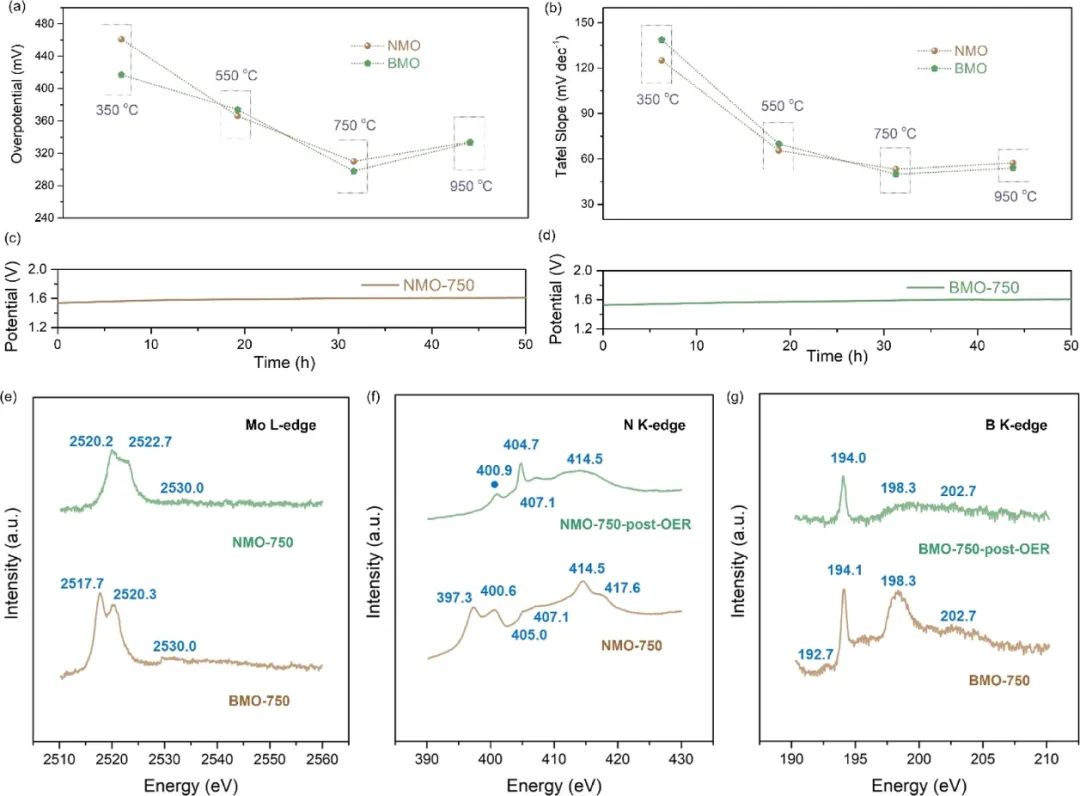 梅俊/廖婷/孙子其ACS Catalysis：硼/氮诱导的表面环境调节有利于实现高效析氧