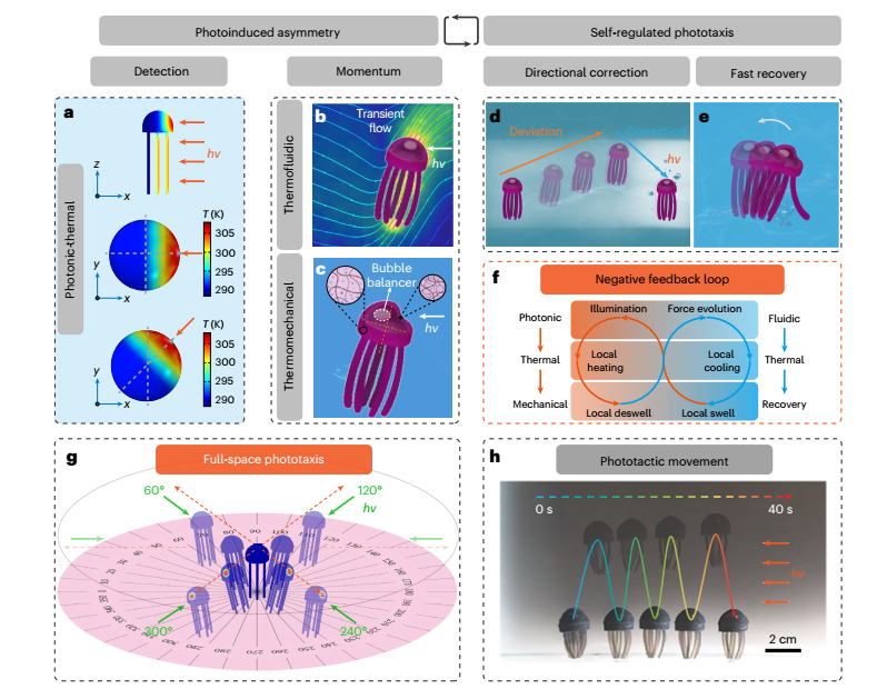 有趣！上交最新Nature Nanotechnology，会自己“决策”的水凝胶！