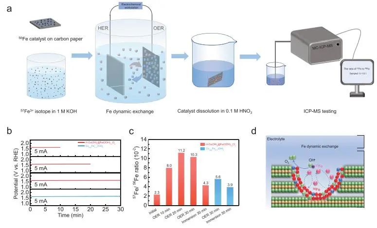 ​NUS/北科JACS：晶面工程和孔道设计促进析氧催化动态Fe交换，增强催化剂活性和稳定性